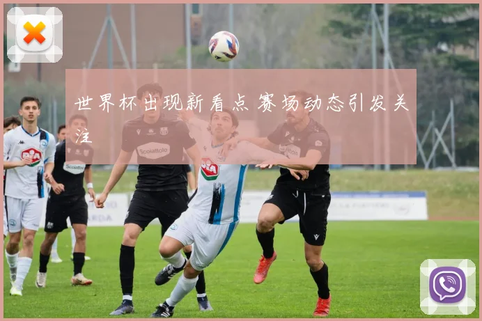 世界杯出现新看点 赛场动态引发关注